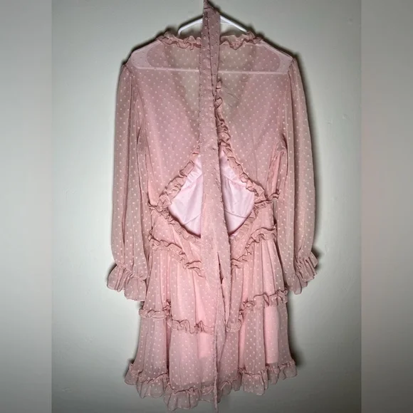Dusty Pink Swiss Dot Mini Dress with Ruffles – Size Large - Picture 15 of 15